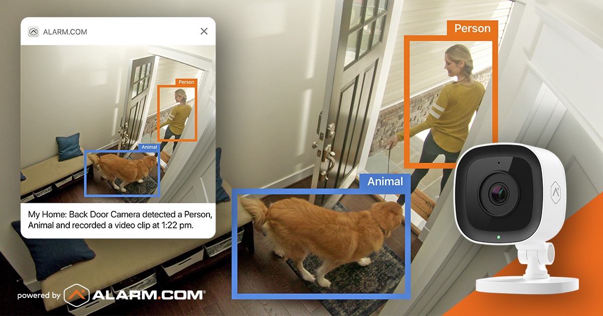 Pet Owner Video Analytics person with dog Amherst Alarm Alarm.com